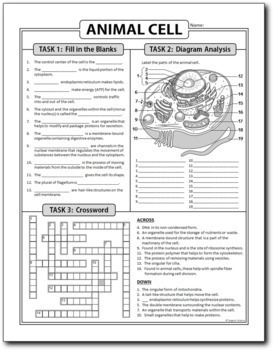 Animal Cell Homework Review Worksheet Test Prep Print Distance Learning
