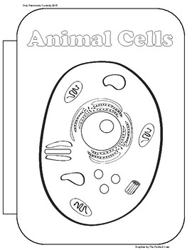 Animal Cell Interactive Notebook by Only Passionate Curiosity | TPT