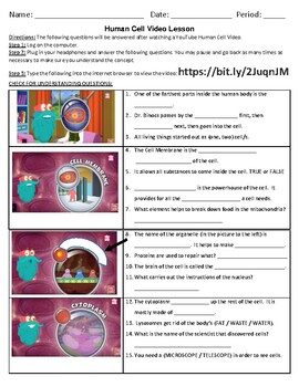 Animal Cell Introduction Teaching Resources | TPT