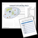 Animal Cell Labeling & Functions Worksheet - Science | Biology
