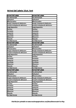 Labels For Animal Cell Worksheets Teaching Resources Tpt