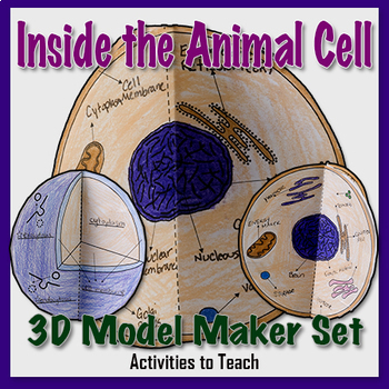 Animal Cell Model - 3D Model Paper Foldable Middle School Science
