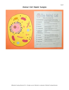 19+ Animal Cell Color Worksheet
