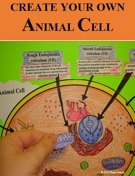 Preview of Animal Cell Organelle Cut and Paste