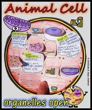 Preview of Animal Cell Organelle Cut and Paste Foldable
