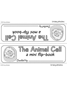 Animal Cell Organelles Mini Flip-Book by The Morehouse ...