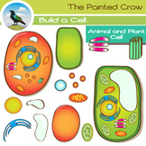 Animal Cell & Plant Cell Clip Art - 30 Piece Set - Color &