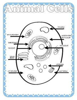 Preview of Animal Cell Printable Pack