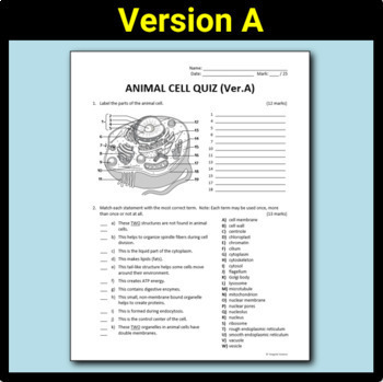 Animal Cell Quiz - Two Versions | Editable, Printable PDF & Google Drive  Options