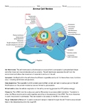 Animal Cell Review