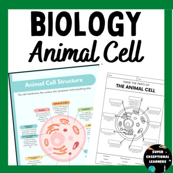 Animal Structures And Functions Teaching Resources | TPT