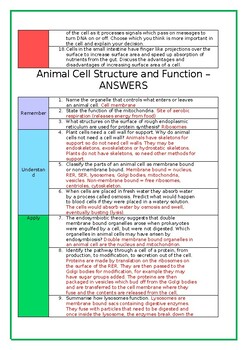 Animal Cell Structure and Function Worksheet Blooms Taxonomy by Karen Kirk
