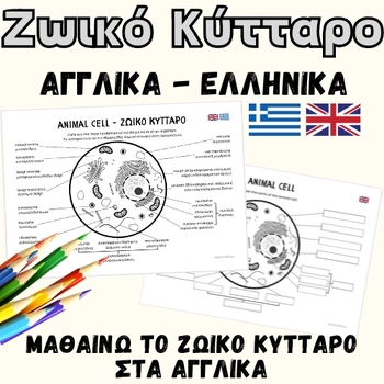 Preview of Animal Cell Structure in Greek and English
