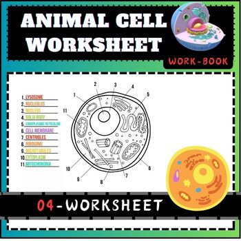 Preview of Animal Cell Worksheet  and Handouts
