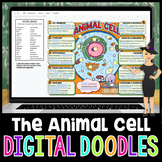 Animal Cell and Organelles Digital Doodle | Science Digita