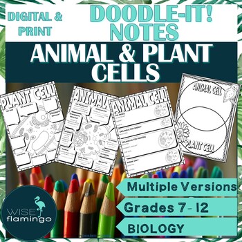 Preview of Animal Cell and Plant Cell Organelles Doodle-it! Notes DIGITAL and PRINT