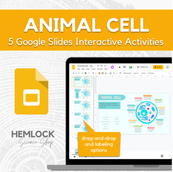 Preview of Animal Cell - interactive drag-and-drop & labeling activity in Slides