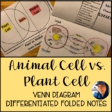 Animal Cell vs. Plant Cell: Venn Diagram Differentiated Fo