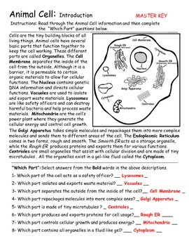 Animal Cells - Introduction and Diagram Activities by Geo-Earth Sciences