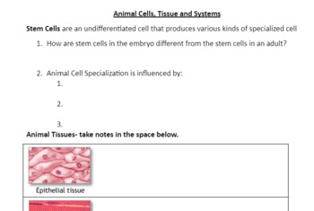Animal Tissues Teaching Resources | TPT