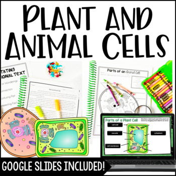 Cells (Plant and Animal Cells) with Digital Science Activities | TPT