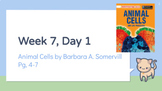 Animal Cells by Barbara A. Somervill Slide Deck // Bookwor