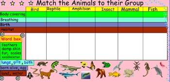 Preview of Animal Characteristic Match