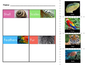 Animal Characteristic Sorting Teaching Resources | TPT