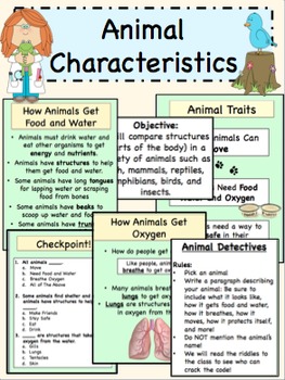 Animal Characteristics by Food for Taught | Teachers Pay Teachers