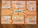 Animal Characteristics Chart or Information organizer