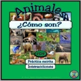 Preview of Animal Characteristics Adjectives Comparisons PDF Activities - Las descripciones