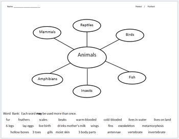 Preview of Animal Characteristics Graphic Organizer