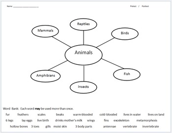 Animal Traits for Classification - Graphic Organizer