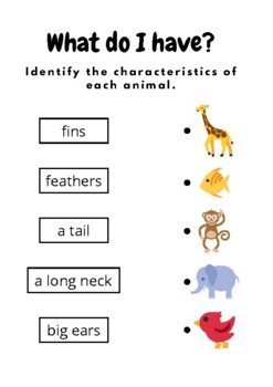Animal Characteristics - Identify and match ESL Kindergarten worksheet