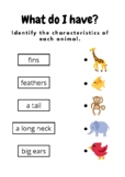 Animal Characteristics - Identify and match ESL Kindergart