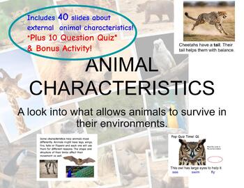 Preview of Animal Characteristics Slides & Create Animal Project
