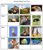 Animal Characteristics Sorts (set of 3) TEKS K.10A,B and 1