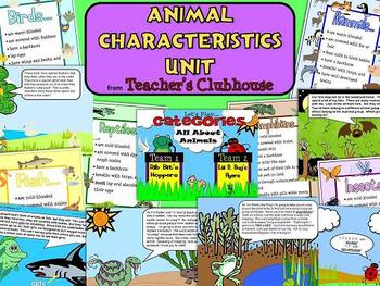 Animal Characteristics Game Teaching Resources | TPT
