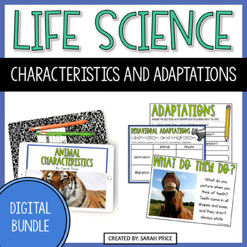 Preview of Animal Characteristics and Animal Adaptations Digital Activities Bundle