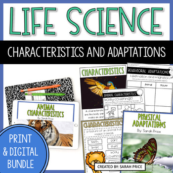 Preview of Animal Characteristics & Adaptations Activity Bundle - 2nd Grade Science Lessons