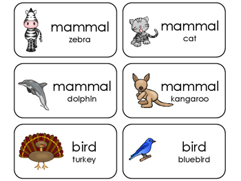 Animal Class Identification Flashcards Preschool Kindergarten