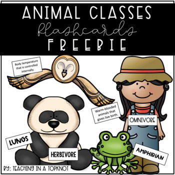 Preview of Animal Classes Flashcards FREEBIE