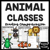 Animal Classes Informational Text Reading Comprehension Wo