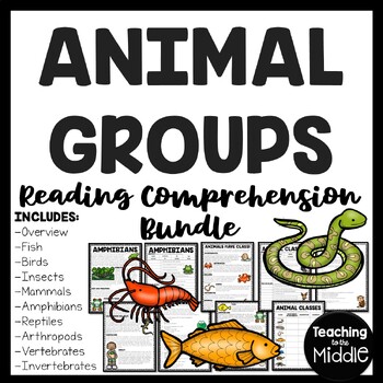 Preview of Animal Classes Reading Comprehension Bundle Animal Groups Types of Animals