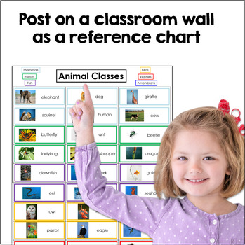 Animal Classes Chart