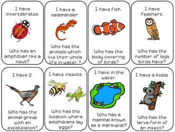 Animal Classification Game by Forever In Third Grade | TPT