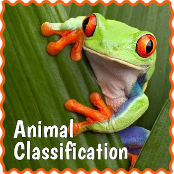Preview of DIGITAL Animal Classification: Vertebrate Sorting Game & Review