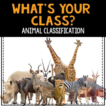 Preview of Animal Classification Activities