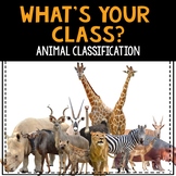 Animal Classification Activities