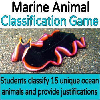 Preview of Animal Classification Activity